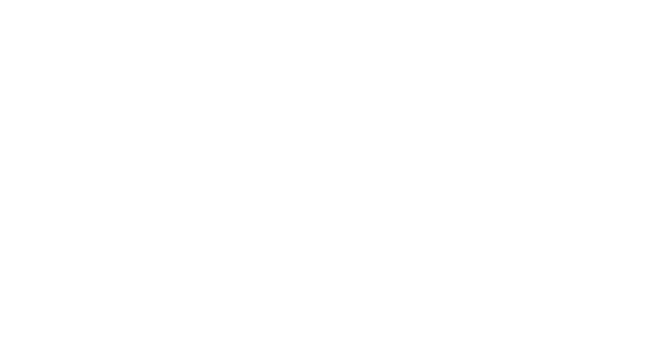 Logo Irelan pienso de perro sin cereales